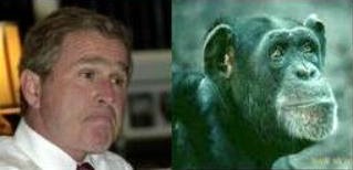 George Bush looks like a monkey